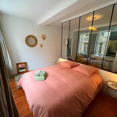 Apartment Elegant En Hypercentre Dans Le Quartier Historique Anime Avec Parking Gratuit *