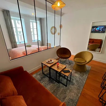Apartment Elegant En Hypercentre Dans Le Quartier Historique Anime Avec Parking Gratuit