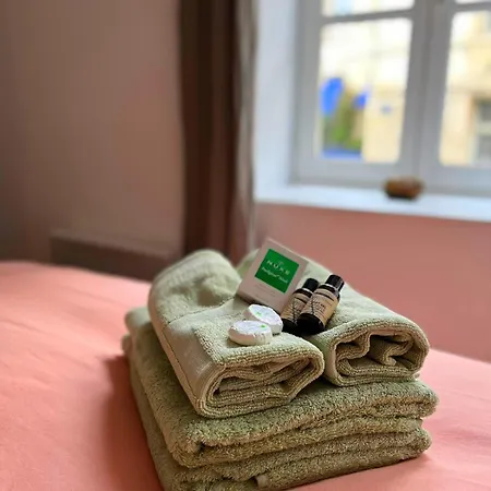 Apartment Elegant En Hypercentre Dans Le Quartier Historique Anime Avec Parking Gratuit Caen